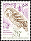 Boreal Owl Aegolius funereus  1993 Birds of prey in Mercantour national park 