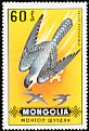Peregrine Falcon Falco peregrinus  1970 Birds of prey 