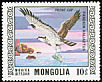 Osprey Pandion haliaetus  1976 Protected birds 