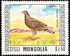 Steppe Eagle Aquila nipalensis  1976 Protected birds 