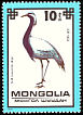 Demoiselle Crane Grus virgo  1979 Protected birds 