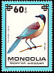 Azure-winged Magpie Cyanopica cyanus  1979 Protected birds 