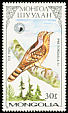 Eurasian Wryneck Jynx torquilla  1987 Woodpeckers 