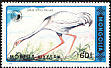 White-naped Crane Antigone vipio  1990 Japanese White-necked Crane 