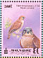 Common Kestrel Falco tinnunculus  1999 Falcons Sheet
