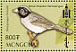 Black-headed Hemispingus Pseudospingus verticalis  2003 Birds Sheet