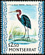 Little Blue Heron Egretta caerulea  1971 Birds Glazed paper
