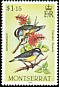 Bananaquit Coereba flaveola  1984 Birds 