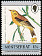 Palm Warbler Setophaga palmarum  1985 Audubon 