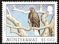 Turkey Vulture Cathartes aura  1997 Birds 