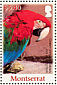 Red-and-green Macaw Ara chloropterus  2007 Parrots of the Caribbean Sheet