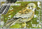 American Kestrel Falco sparverius  2009 Birds of Montserrat Sheet