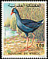 Western Swamphen Porphyrio porphyrio  1976 Birds 