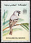 Desert Sparrow Passer simplex  1987 Birds 