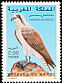 Osprey Pandion haliaetus  1996 Birds 