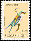 Lilac-breasted Roller Coracias caudatus  1978 Birds 