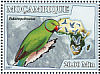 Rose-ringed Parakeet Psittacula krameri  2007 Parrots Sheet