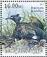 Spectacled Cormorant Urile perspicillatus †