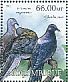 Passenger Pigeon Ectopistes migratorius â€   2012 Extinct birds Sheet