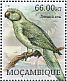 Newton's Parakeet Psittacula exsul â€   2012 Extinct birds of Africa Sheet