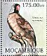 Mascarene Parrot Mascarinus mascarinus â€   2012 Extinct birds of Africa  MS