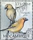 Greater Koa Finch Rhodacanthis palmeri â€   2012 Extinct birds  MS