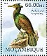 Spectacled Cormorant  Urile perspicillatus †