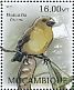 Lesser Koa Finch Rhodacanthis flaviceps â€   2012 Extinct birds Sheet