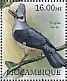 Hoopoe Starling Fregilupus varius â€   2012 Extinct birds Sheet