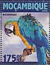 Blue-and-yellow Macaw Ara ararauna