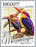Black-backed Dwarf Kingfisher Ceyx erithaca  2016 Kingfishers Sheet
