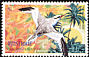 Red-billed Tropicbird Phaethon aethereus  2003 Caribbean birds 