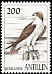 Osprey Pandion haliaetus  1997 Birds 