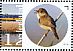 Common Reed Warbler Acrocephalus scirpaceus  2015 Naardermeer Prestige booklet