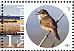 Common Reed Warbler Acrocephalus scirpaceus  2015 Naardermeer 10v sheet