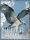 Osprey Pandion haliaetus  2020 Birds of prey Sheet, sa