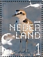 Kentish Plover Anarhynchus alexandrinus  2020 Coastal birds Sheet, sa
