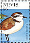 Snowy Plover Anarhynchus nivosus  1995 Waterbirds  MS MS