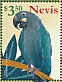 Glaucous Macaw Anodorhynchus glaucus â€   2021 Macaws Sheet