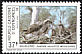 Osprey Pandion haliaetus  1983 Birds of prey 