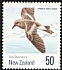 Wilson's Storm Petrel Oceanites oceanicus  1990 Antarctic birds 