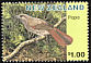 South Island Piopio Turnagra capensis â€   1996 Extinct birds 