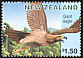 Giant Eagle Harpagornis moorei  1996 Extinct birds 