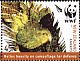 Kakapo Strigops habroptila  2005 WWF Strip