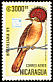 Tropical Royal Flycatcher Onychorhynchus coronatus  1989 Brasiliana 89 