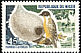 Little Weaver Ploceus luteolus  1967 Birds 