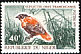 Northern Red Bishop Euplectes franciscanus  1970 Birds 