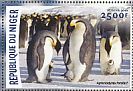 Emperor Penguin Aptenodytes forsteri  2016 Antarctic wildlife  MS