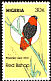 Northern Red Bishop Euplectes franciscanus  1984 Rare birds 