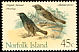 Tasman Starling Aplonis fusca â€   1970 Birds 